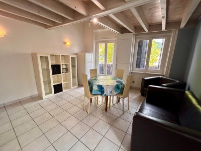 APPARTEMENT T2 A LOUER - AUREC SUR LOIRE - 33.3 m2 - 410€ charges comprises par mois