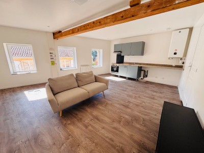 Appartement T2 entièrement rénové A LOUER - BAS EN BASSET - 44.68 m2 - 490 &euro; charges comprises par mois