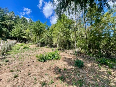 TERRAIN A VENDRE - BAS EN BASSET - 1212 m2 - 65 500 &euro;